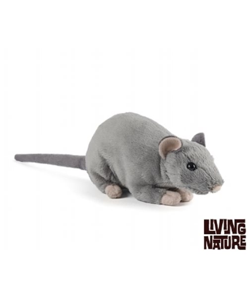 rat cuddly toy