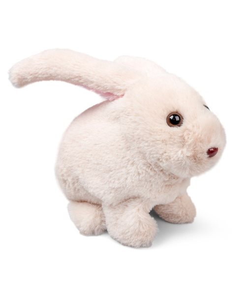 hopping bunny toy